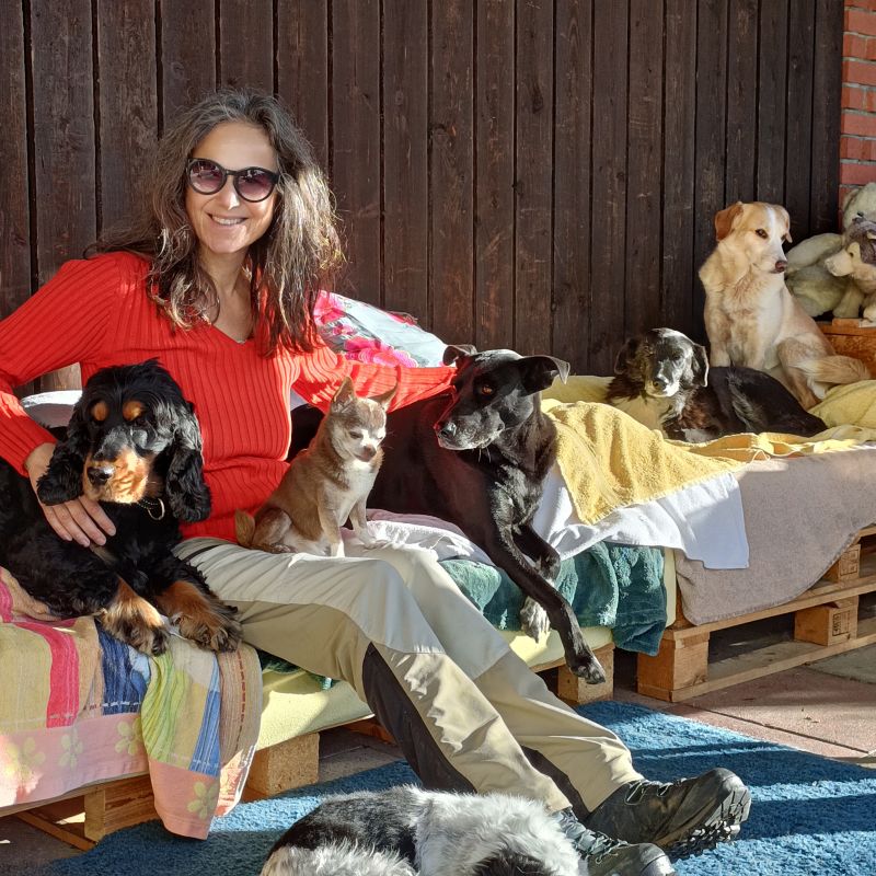Hundebetreuung alte Hunde